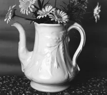 Bordered Fuchsia_Anthony Shaw_Teapot or Coffee Pot Base_Item_002