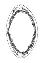 Budded Vine | Meakin Bros. (& Co.) | Relish Dish | ItemDrw | 001