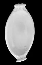 Cable and Bar | W. Baker & Co. | Relish Dish | Item | 003