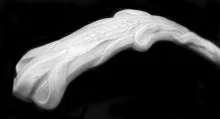 Ceres Shape_Elsmore & Forster_Soup Ladle_Handle_002