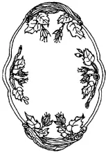 Fuchsia_Unspecified_Relish Dish_ItemDrw_001