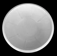 Girard Shape | Ridgway, Bates, & Co. | Wash Basin | Item | 001