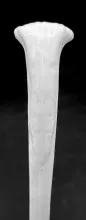 Gothic_Charles J. Mason_Soup Ladle_Handle_002