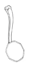 Gothic | J. & G. Alcock | Sauce Ladle | ItemDrw | 001