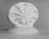 Gothic | J. & G. Alcock | Sauce or Soup Tureen Base and Lid | Finial | 003