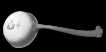Gothic | T. J. & J. Mayer | Sauce, Soup, or Chowder Ladle | Handle | 005
