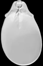 Grenade Shape_T. & R. Boote (& Co.)_Relish Dish_Item_005