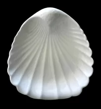 Holland & Green Shell | Holland & Green (Late Harvey) | Relish Dish | Item | 004