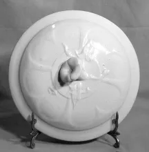 Lined Glory_John Maddock & Son(s) (& Co.)_Chamber Pot Lid_Item_001