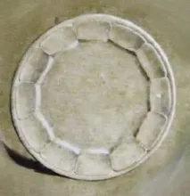 Paris Shape_John Alcock_Plate_KewDrw_002