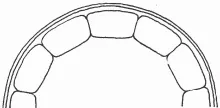 Paris Shape_Unspecified_Plate_ItemDrw_002