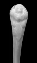 Paris Shape_Unspecified_Sauce Ladle_Handle_002
