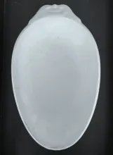 Rondeau_Davenport (& Co.)_Relish Dish_Item_001