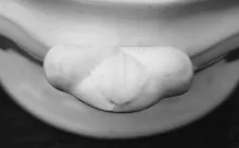 Triple Border_E. & C. Challinor_Vegetable Tureen Base_Handle_002