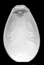 Vintage Shape | E. & C. Challinor (& Co.) | Relish Dish | Item | 005