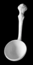 Vintage Shape | Unspecified | Sauce Ladle | Item | 003