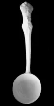 Vintage Shape | Unspecified | Soup Ladle | Item | 003