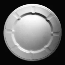 Walled Octagon | Jacob Furnival | Plate | Item | 002