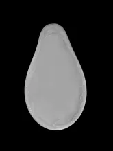Wheat | Jacob Furnival | Relish Dish | Item | 003